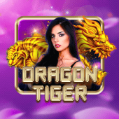 Dragon Tiger bingo plus casino